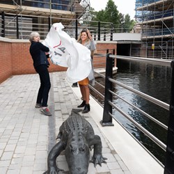 Alligator Unveiling at Waterside Quarter