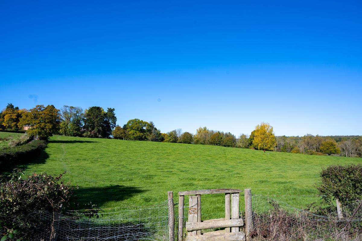 Balcombe field location