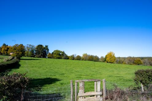Balcombe field location