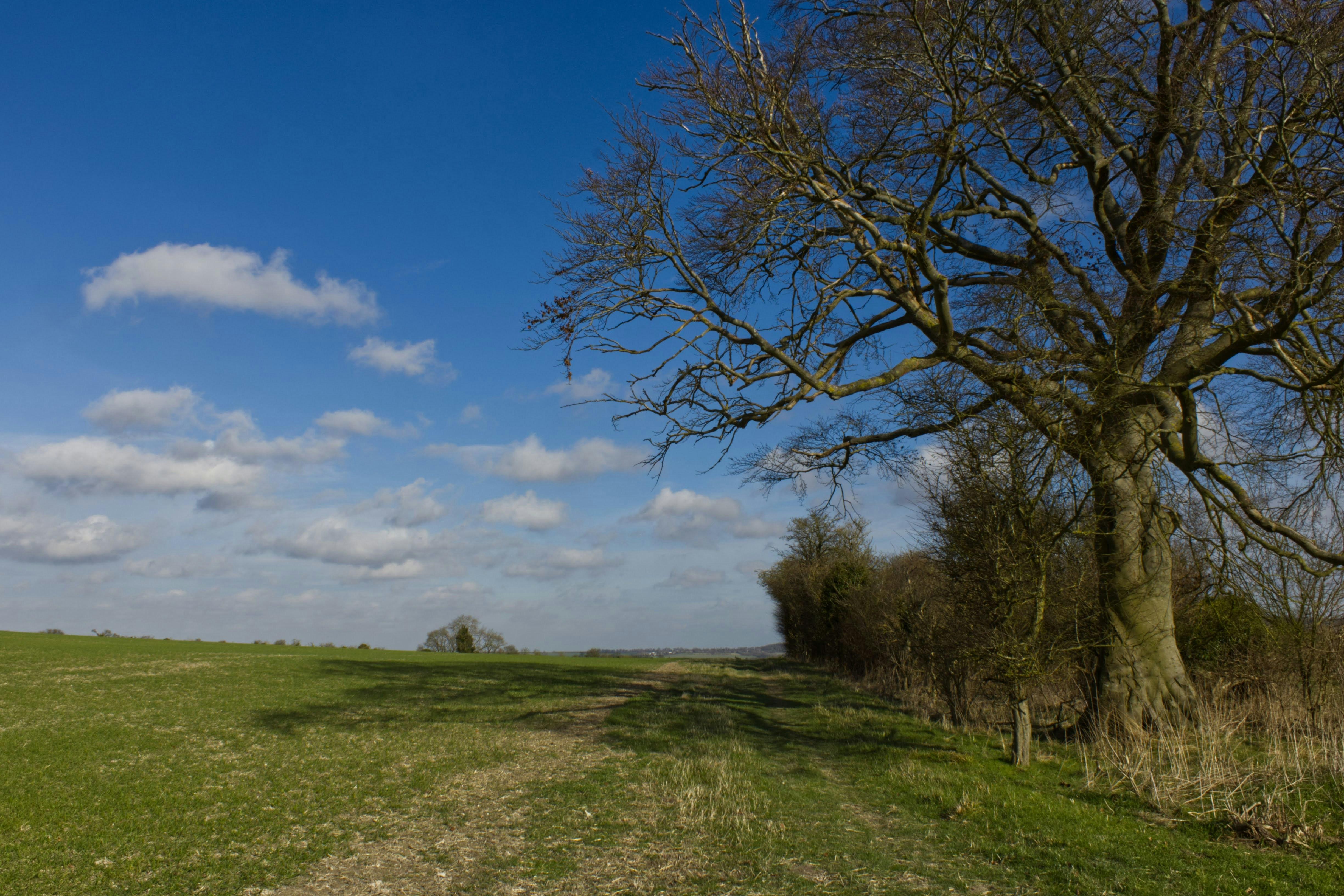 Chiltern hills - location