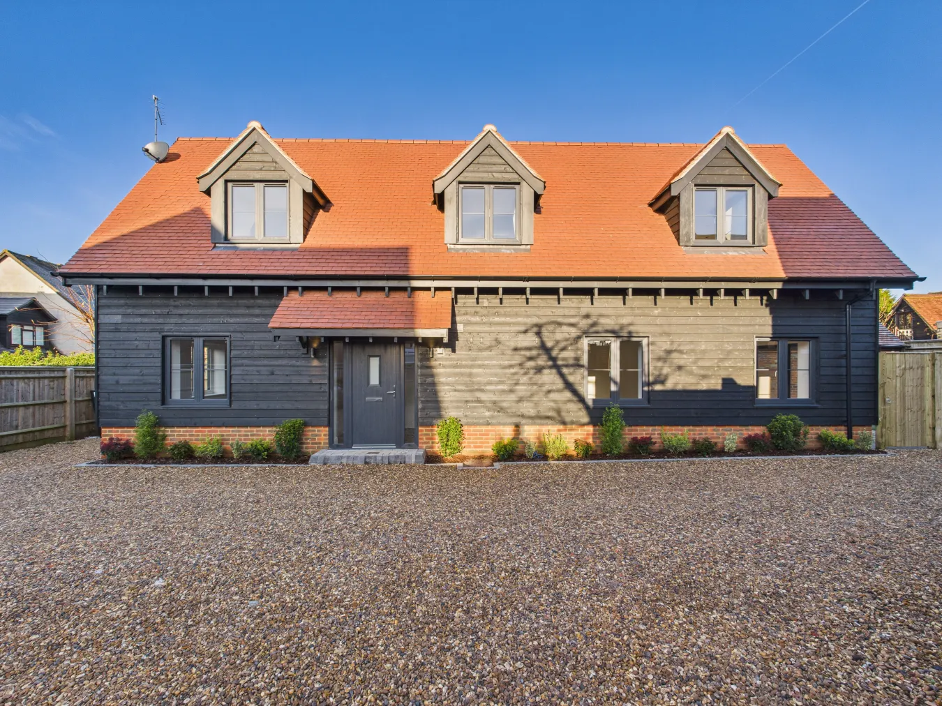 Primrose external image