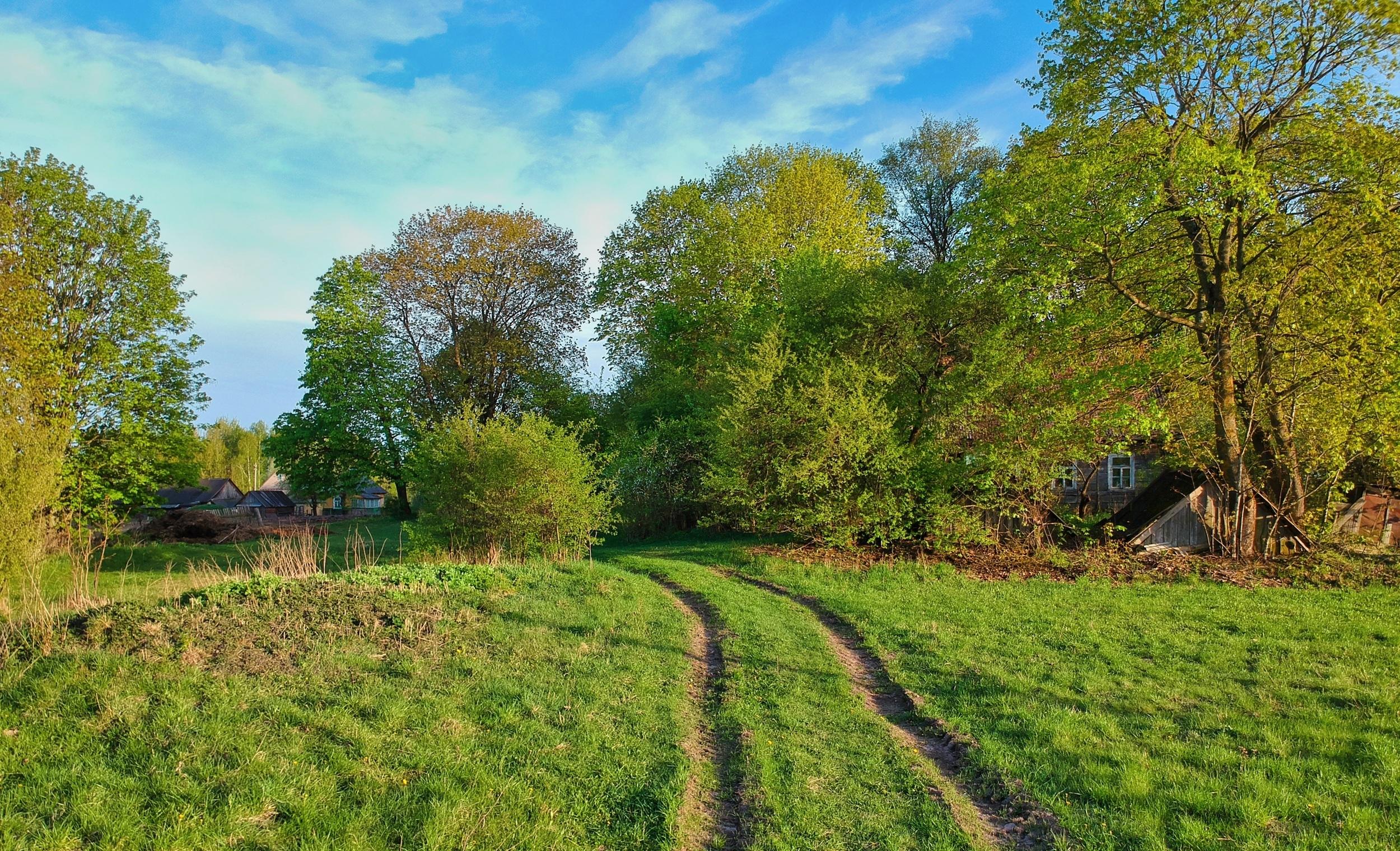 Cobham - countryside