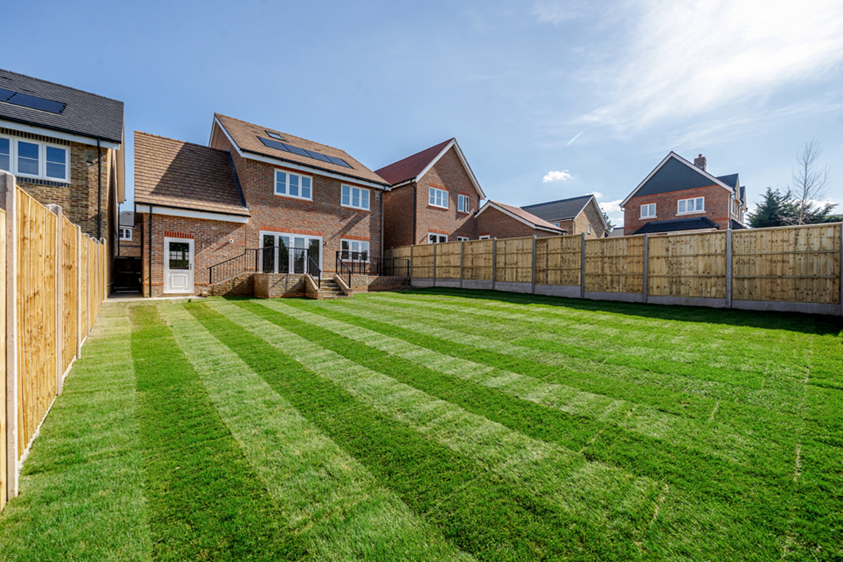 Garden MG plot 16